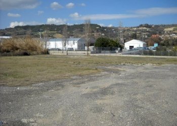 5 - Terreno agricolo Grottammare - foto 5