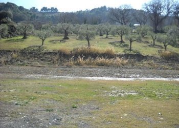 9 - Terreno agricolo Grottammare - foto 9