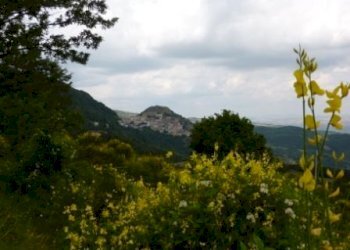 San Fele 2.JPG - Casa indipendente San Fele - foto 15