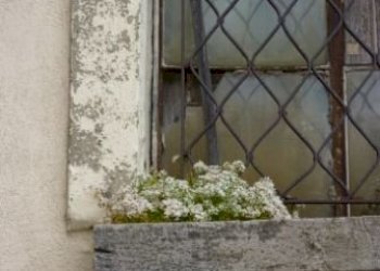 Detail.JPG - Casa indipendente San Fele - foto 13