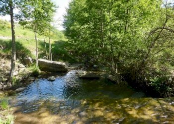 P1030143 (640x480) (640x480) - Copia.jpg - Appartamento VIA ARIOSTO, San Fele - foto 23