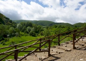 P1030161 (640x480) (640x480) - Copia.jpg - Appartamento VIA ARIOSTO, San Fele - foto 24