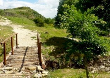 P1030138 (468x640) (468x640) - Copia.jpg - Appartamento VIA ARIOSTO, San Fele - foto 29