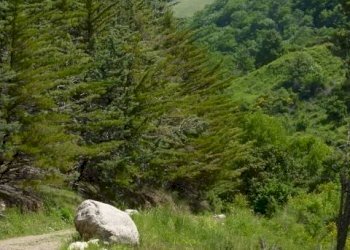 San Fele from the Cascate 4 (480x640).jpg - Appartamento via dante, San Fele - foto 13