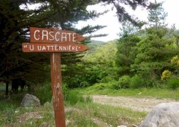 P1030128 (640x480) (640x480).jpg - Appartamento via dante, San Fele - foto 21