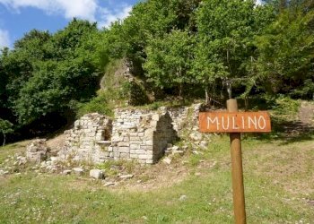 P1030135 (640x480) (640x480).jpg - Appartamento via dante, San Fele - foto 22