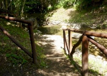 P1030178 (480x640) (480x640).jpg - Appartamento via dante, San Fele - foto 26