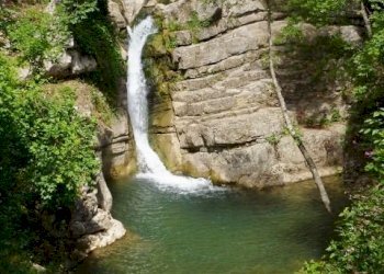 P1030183 (480x640) (480x640).jpg - Appartamento via dante, San Fele - foto 27