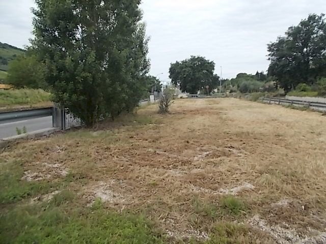 Building land Ripatransone - photo 3