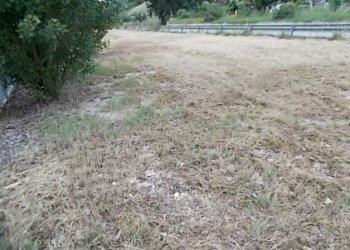 Terreno edificabile Ripatransone - foto 4