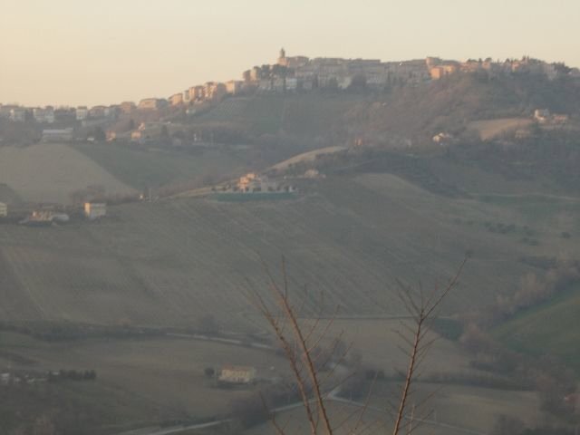 panoramica - Terreno agricolo contrada, Ripatransone - foto 2