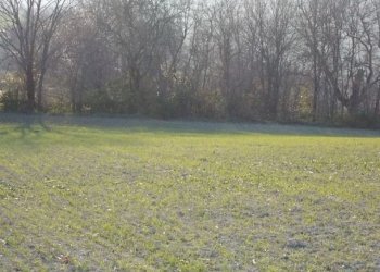 seminativo - Agricultural land contrada, Ripatransone - photo 6