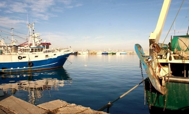 DSC09526 (640x388).jpg - Food - Gastronomy San Benedetto del Tronto - photo 1