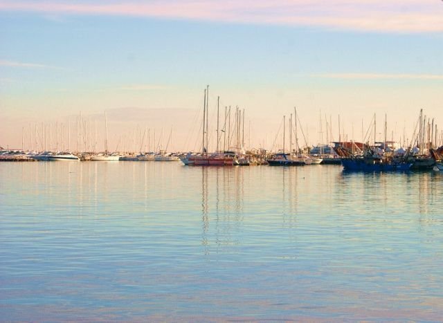 DSC09534 (640x467).jpg - Food - Gastronomy San Benedetto del Tronto - photo 2