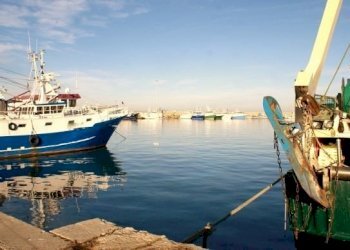 DSC09526 (640x388).jpg - Alimentari - Gastronomia San Benedetto del Tronto - foto 1