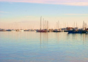 DSC09534 (640x467).jpg - Alimentari - Gastronomia San Benedetto del Tronto - foto 2