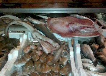 foto 10.jpg - Ristorante San Benedetto del Tronto - foto 2
