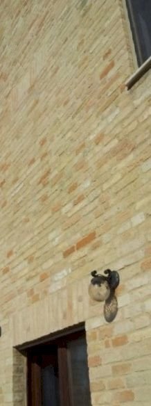 20121002_100752 (384x640).jpg - Villa Acquaviva Picena - photo 3