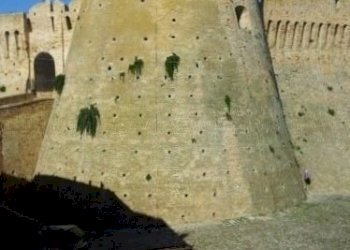 20121002_100540 (384x640).jpg - Villa Acquaviva Picena - foto 1