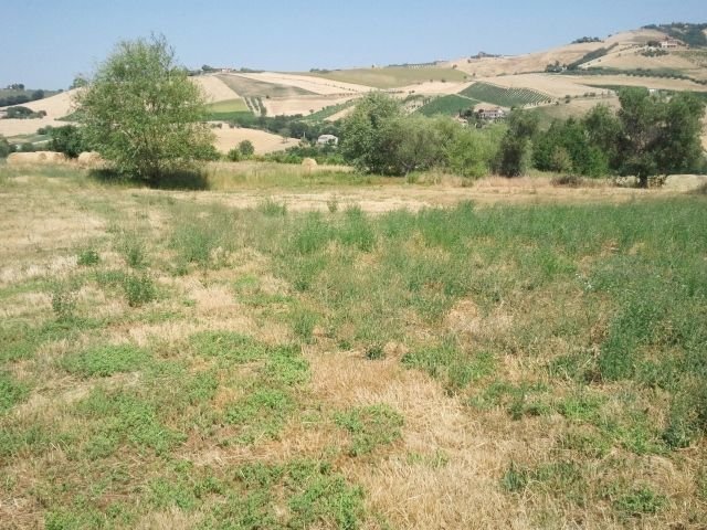 Casale Offida - foto 2