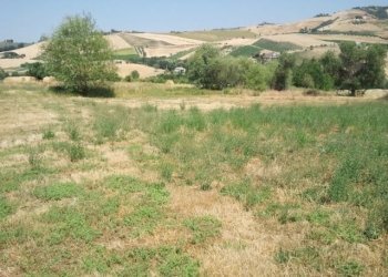 Casale Offida - photo 2