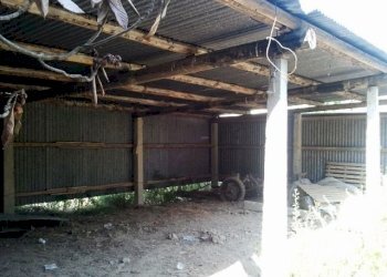 Casale Offida - photo 8