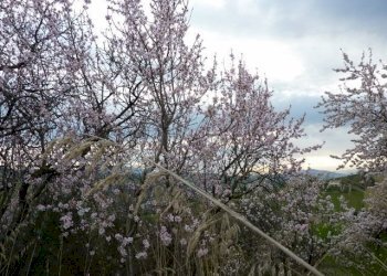 Casale Offida - photo 20