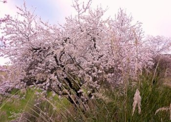 Casale Offida - photo 21