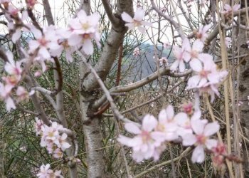 Casale Offida - photo 22