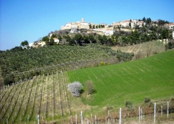 906-05.jpg - Terreno edificabile via dei piceni, Castorano - foto 1