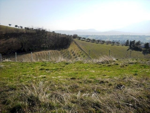 905-07.jpg - Terreno edificabile via dei piceni, Castorano - foto 2
