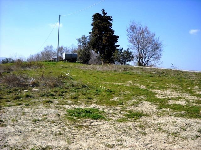 905-05.jpg - Terreno edificabile via dei piceni, Castorano - foto 3