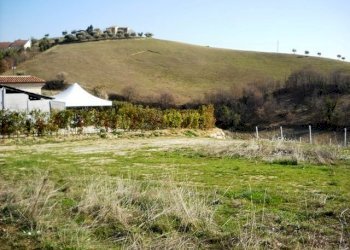 905-06.jpg - Terreno edificabile via dei piceni, Castorano - foto 1