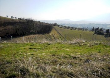 905-07.jpg - Terreno edificabile via dei piceni, Castorano - foto 2