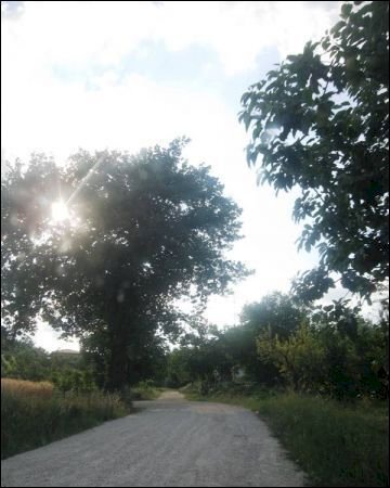 1 - Rustic Offida - photo 1