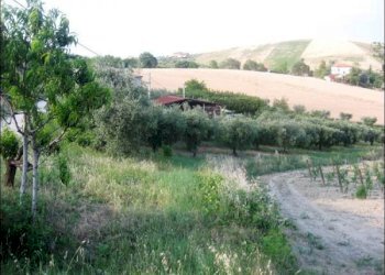 x - Rustic Offida - photo 9