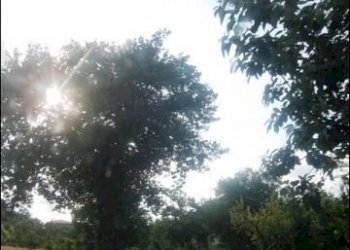 1 - Rustic Offida - photo 1