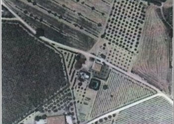 5 - Rustic Offida - photo 3