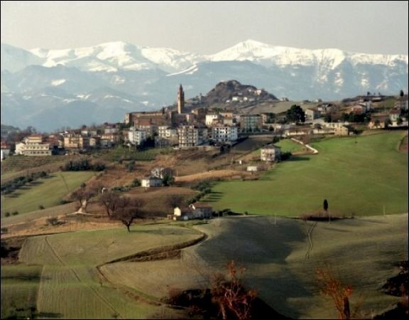 ripaberarda - Terreno agricolo c.da S. Angelo di Ripaberarda, Castignano - foto 2