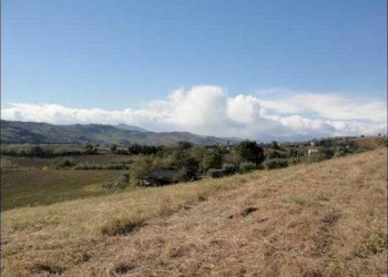 terreno - Terreno agricolo c.da S. Angelo di Ripaberarda, Castignano - foto 1