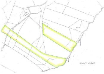 02.jpg - Terreno agricolo c.da S. Angelo di Ripaberarda, Castignano - foto 5