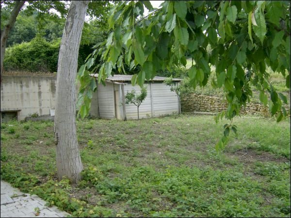 TERRENO CIRCOSTANTE Mq 5.000 - Casale Force - photo 3