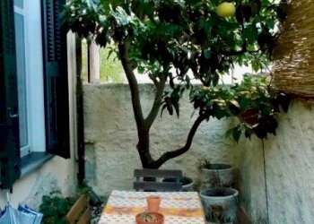 DSCN0075_450x600.jpg - Appartamento Via Papa Leone XIII, Alassio - foto 15