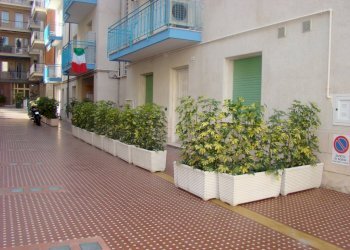 DSC06213_1024x768.JPG - Appartamento CORSO EUROPA, Alassio - foto 13