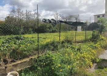 20210130_112100.jpg - Terreno edificabile Via Fontanella 50, Reggio di Calabria - foto 3