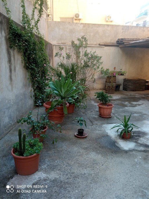 49882.jpg - Magazzino Viale Aldo Moro Trav. Neri R.C., Reggio di Calabria - foto 3