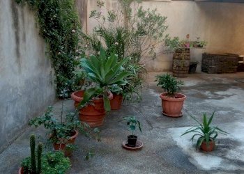 49882.jpg - Magazzino Viale Aldo Moro Trav. Neri R.C., Reggio di Calabria - foto 3