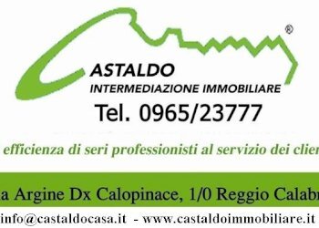 logo Castaldo Immobiliare.jpg - Magazzino Viale Aldo Moro Trav. Neri R.C., Reggio di Calabria - foto 12