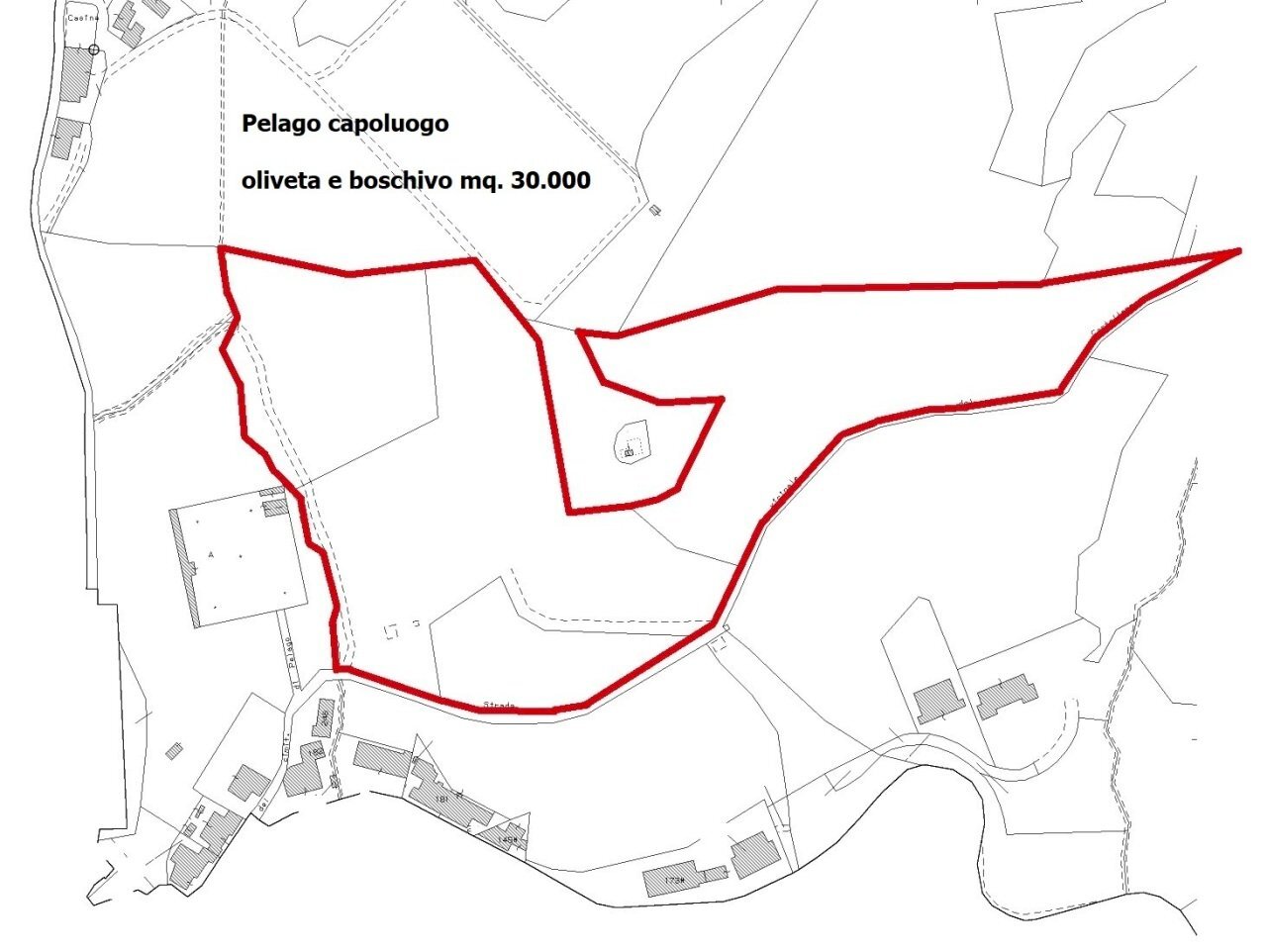 pelago foglio 16 particella 124_page-0001.jpg - Terreno agricolo Via del Madonnino, Pelago - foto 2