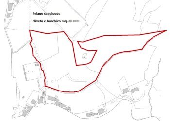 pelago foglio 16 particella 124_page-0001.jpg - Terreno agricolo Via del Madonnino, Pelago - foto 2